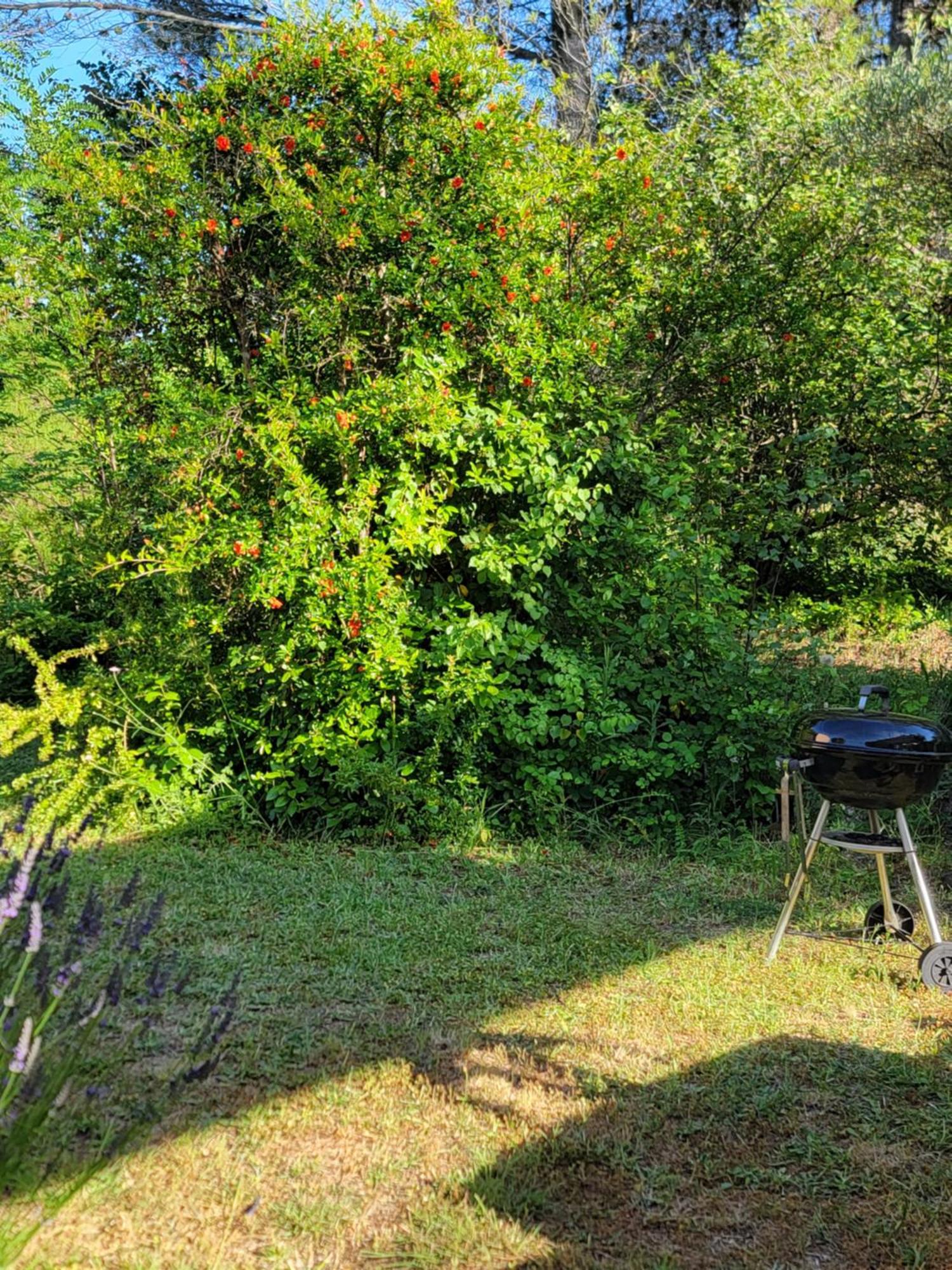 Maison T4, Campagne Provencale Calme, Confort *
